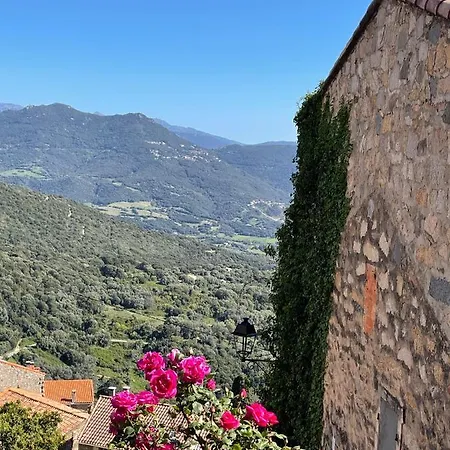 Calanca - Domaine La Raggia Ferienhaus *