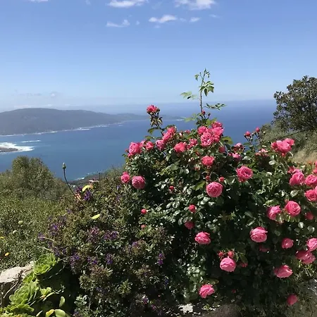 Ferienhaus Calanca - Domaine La Raggia Olmeto (Corsica)
